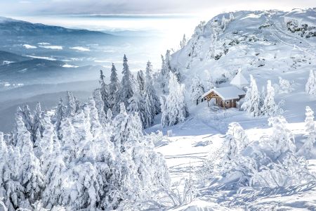 Reiseführer Bayerischer Wald