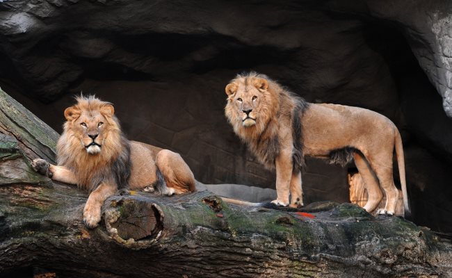 Tierpark Hagenbeck Hamburg