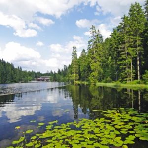 Die schönsten Städte und Urlaubsorte im Bayerischen Wald