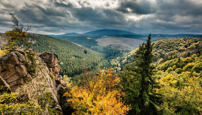 Harz