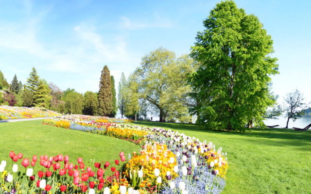 Insel Mainau, Bodensee