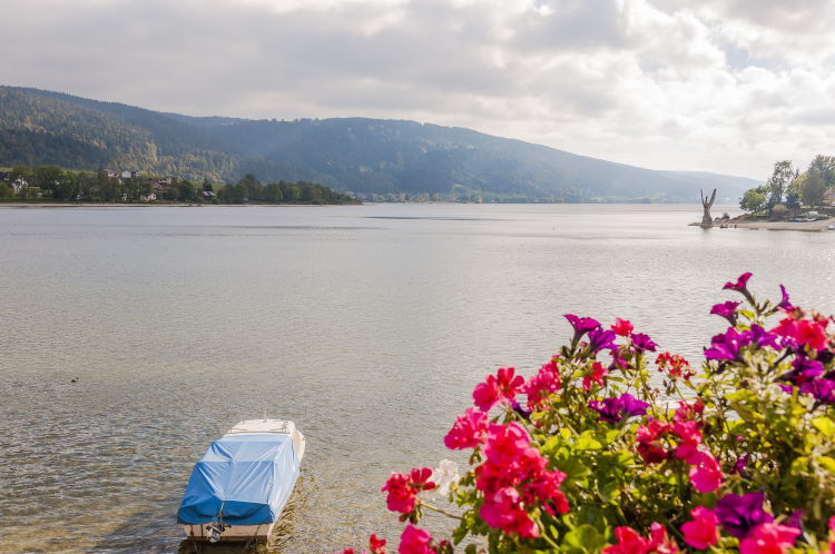 Lac de Joux