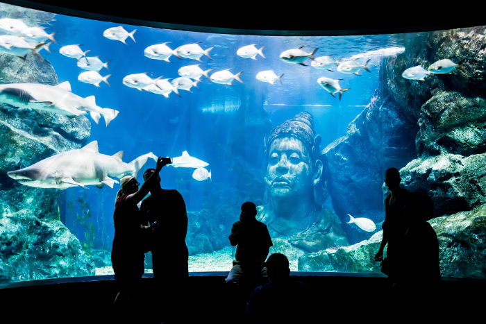 Dubai Aquarium