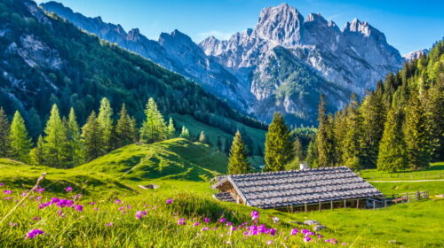 Nationalpark Berchtesgadener Land