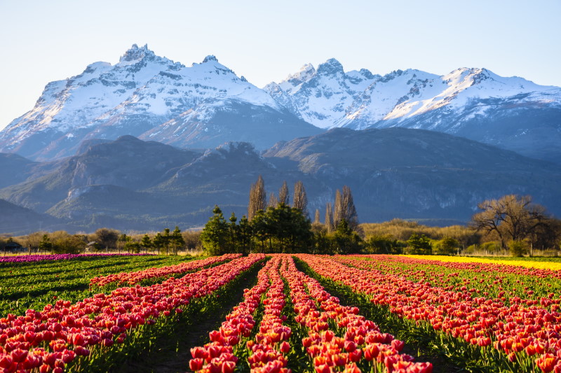 Urlaub in Patagonien