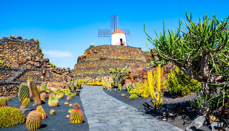 Jardin de Cactus Lanzarote
