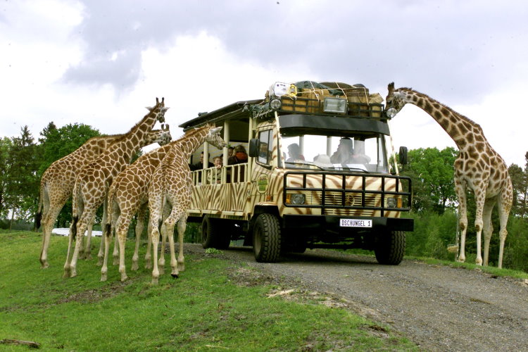 Serengeti Park Hodenhagen