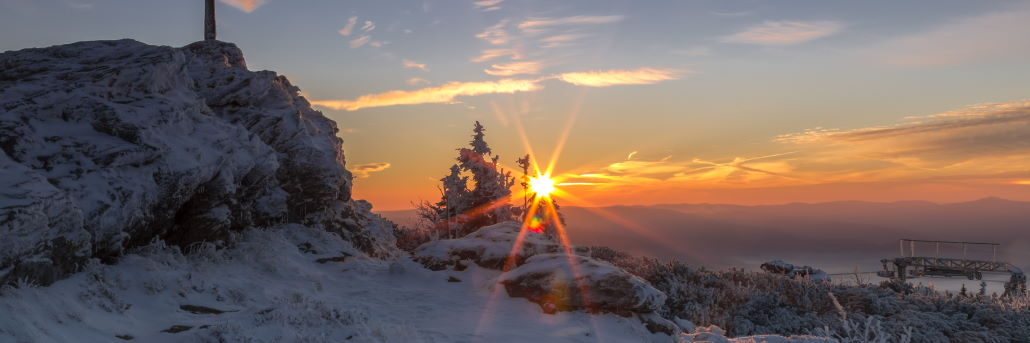 Bayerischer Wald