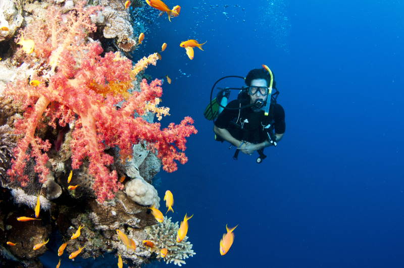 Tauchen Seychellen