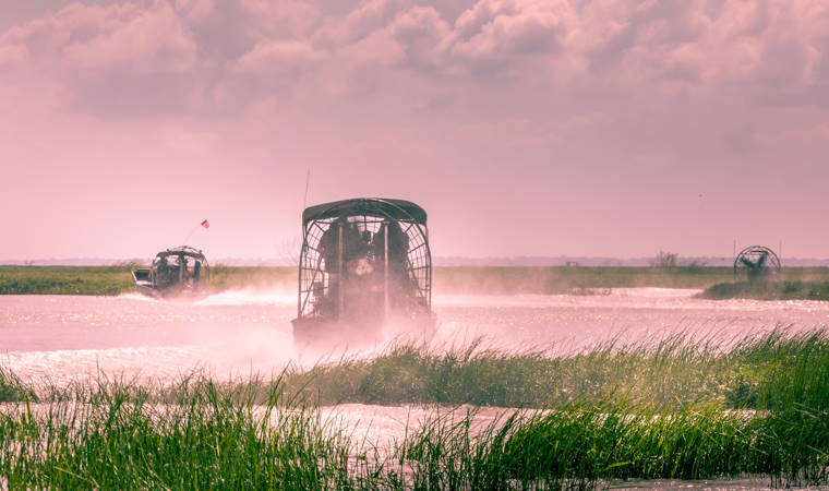 Everglades