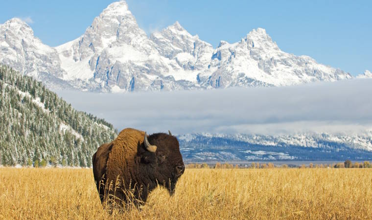 Grand-Teton-Nationalpark