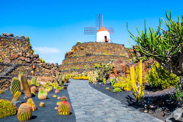 Jardin de Cactus