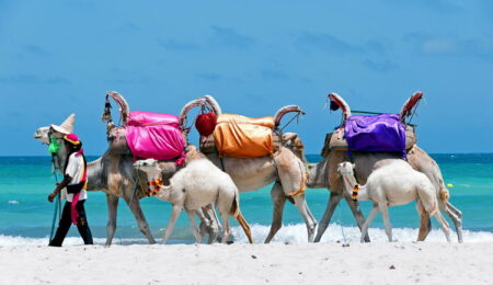 Urlaub Tunesien