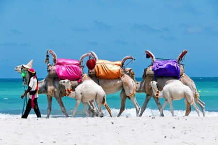 Urlaub in Tunesien