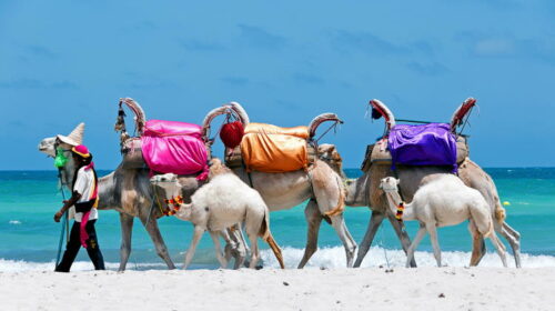 Urlaub Tunesien