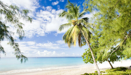 Urlaub auf Barbados
