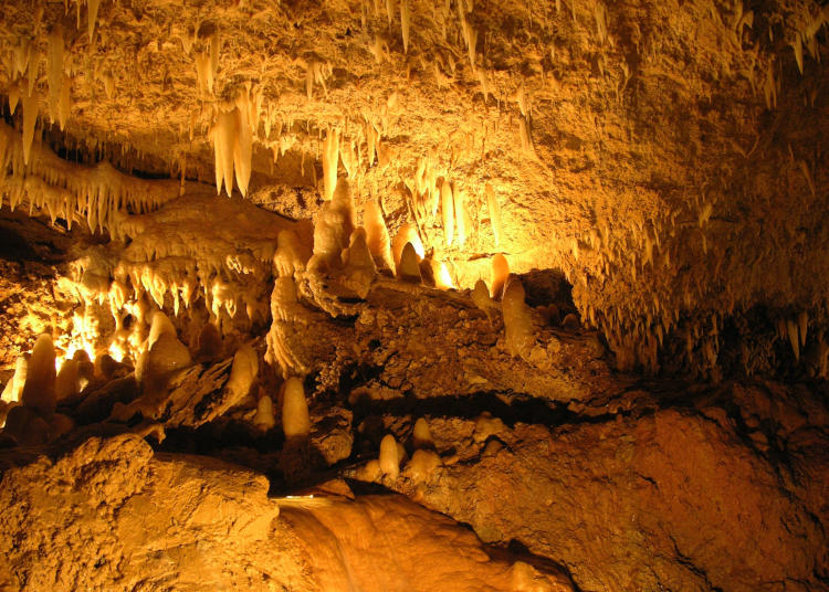 Harrison's Caves auf Barbados