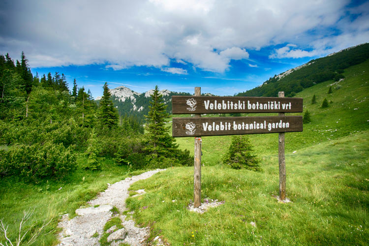 Botanische Garten Velebit