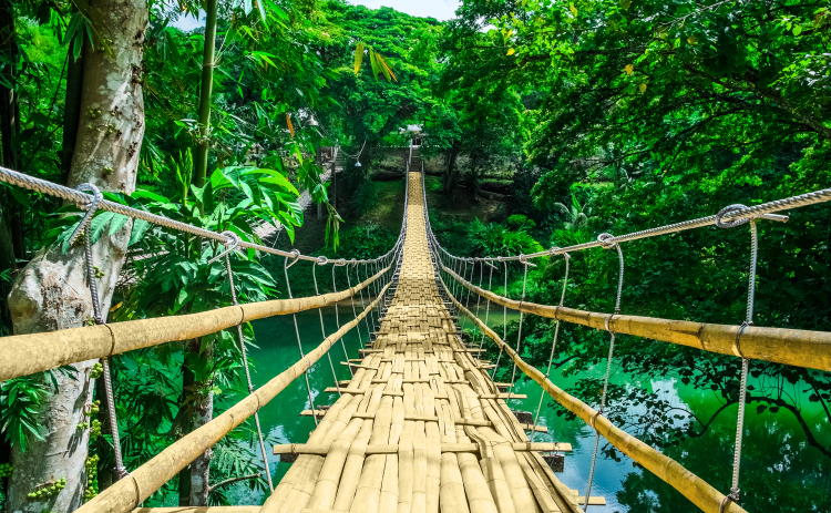 Bambusfußgängerbrücke Bohol