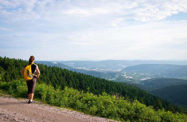 Thüringer Wald