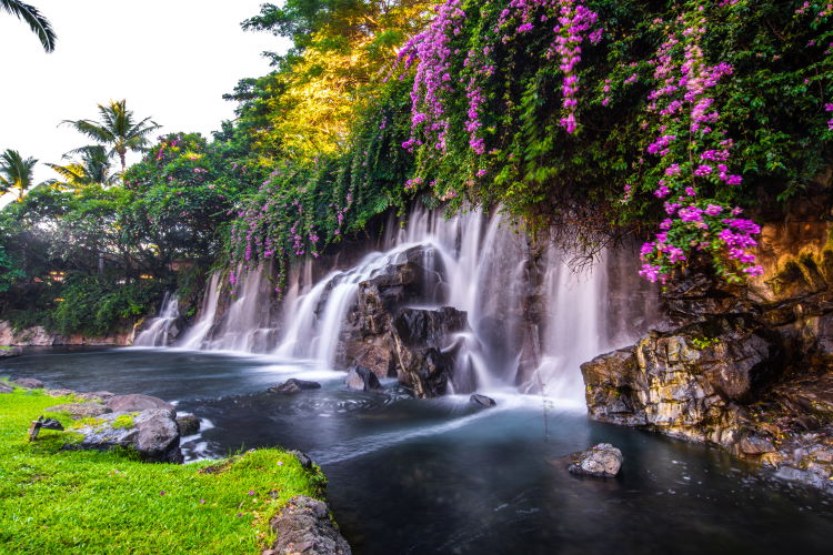 Wasserfall Hawaii