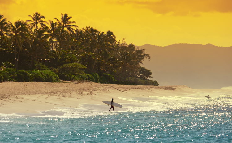 Urlaub auf Hawaii