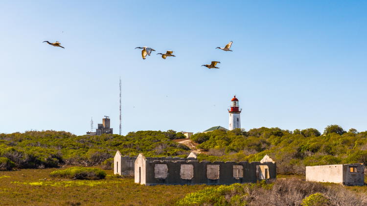 Robben Island Kapstadt