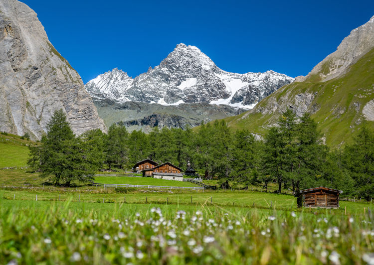 Großglockner