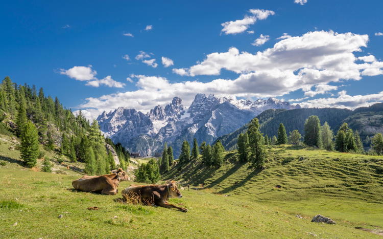 Tirol Alpen