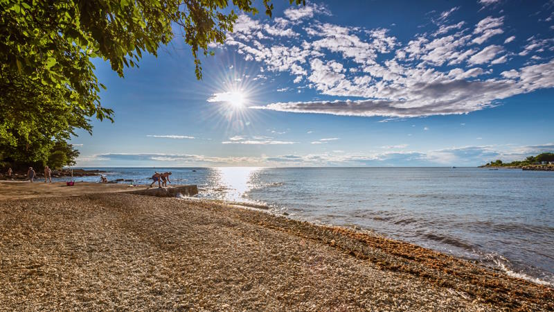 Strand Novigrad