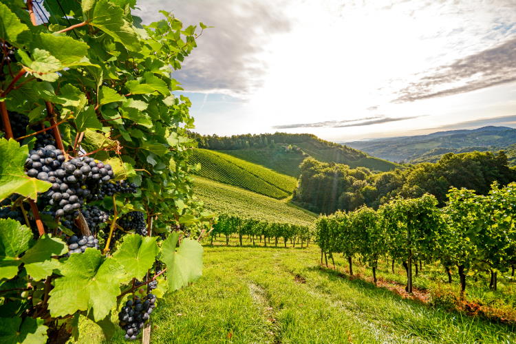 Rhön, Hessen