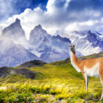 Torres del Paine