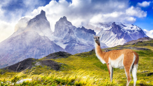 Torres del Paine