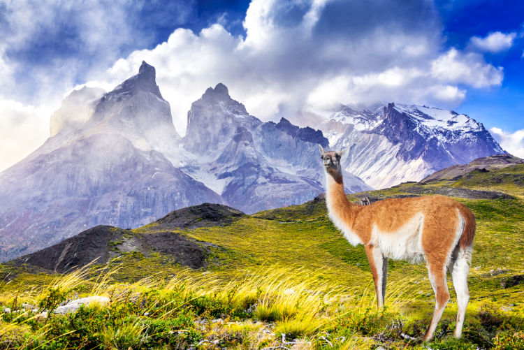 Torres del Paine