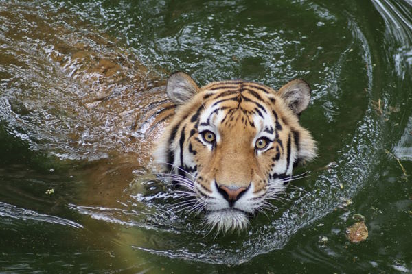 Zoo Augsburg