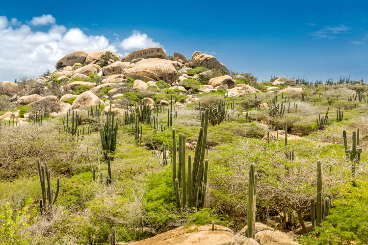 Nationalpark Arikok - Aruba