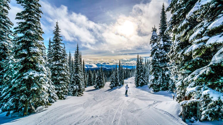 British Columbia Winter