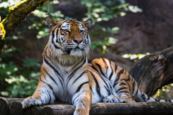 Zoo Nürnberg