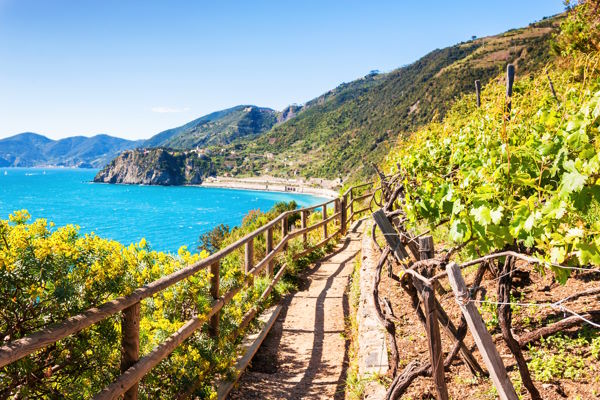 Küste Cinque Terre