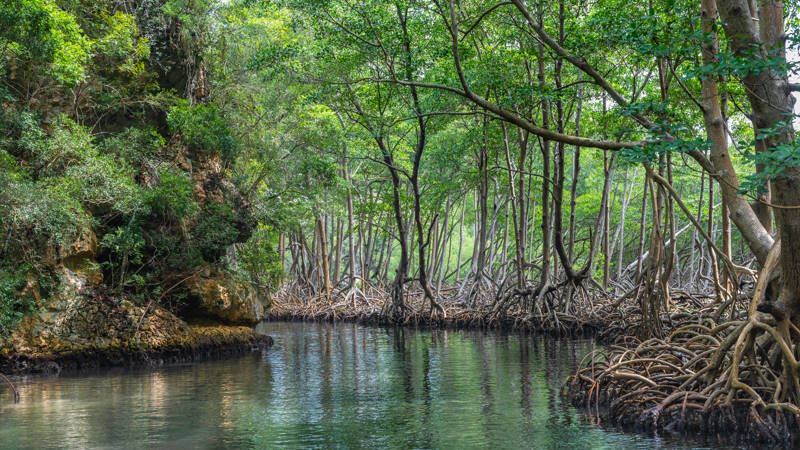 Los Haitises Nationalpark