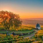 Rheingau, Sonnenuntergang
