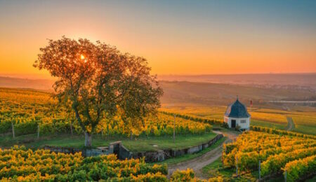 Rheingau, Sonnenuntergang