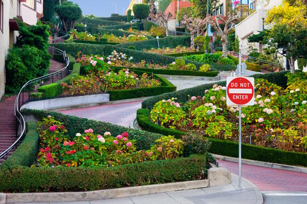 Lombard Street San Francisco