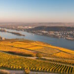 Urlaub Rheingau