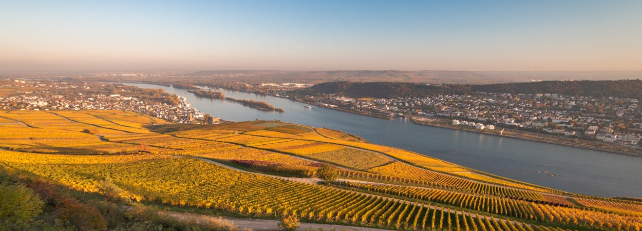 Urlaub Rheingau