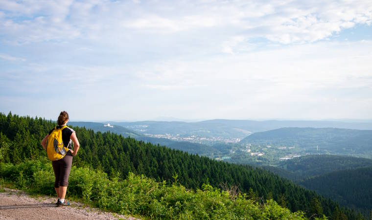 Thüringer Wald