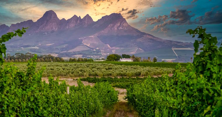 Stellenbosch