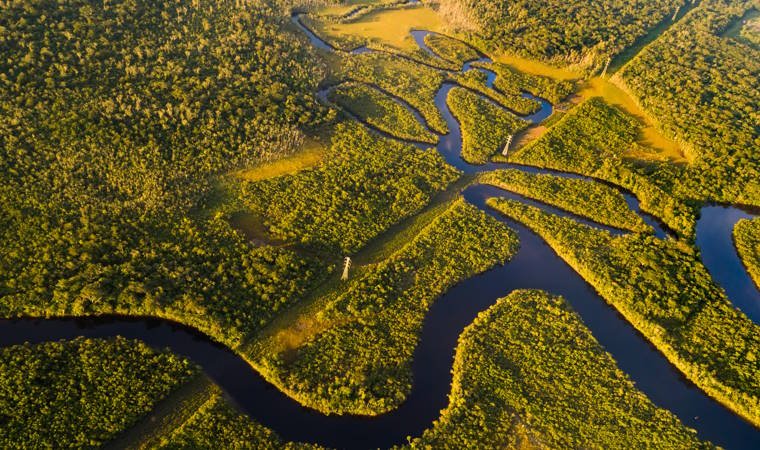 Amazonas