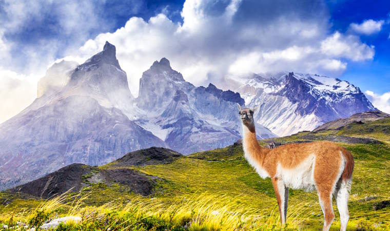 Torres del Paine 