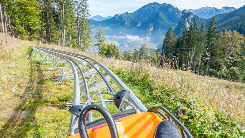 Alpine Coaster